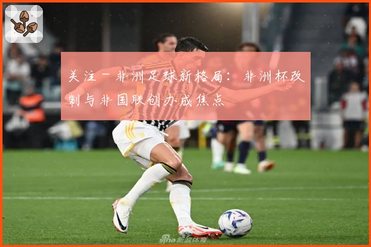 关注 - 非洲足球新格局：非洲杯改制与非国联创办成焦点