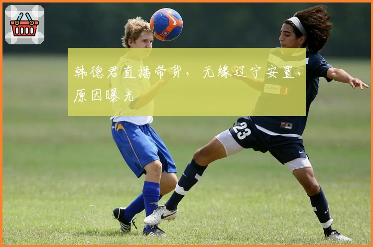 韩德君直播带货，无缘辽宁安置，原因曝光